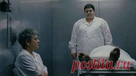 Исследование отношения к смерти у сотрудников хосписов