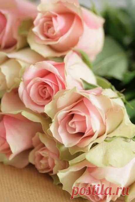 Чудесные цветы. Beautiful flowers