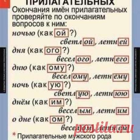 Учитель русского языка
