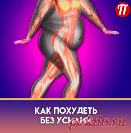 №1 – «Блокатор калорий» («Фарм-Про», Россия)

Отличный способ «обмануть» калории, не придерживаясь особых диет. Лучшее лекарство для похудения эффективно контролирует массу тела за счет блокирования усвоения углеводов и жиров, а также посредством подавления аппетита.

В состав капсул «Блокатор калорий» входит:
Экстракт белой фасоли. Блокирует действие фермента альфа-амилазы который расщепляет сложные углеводы до простых сахаров.
Хитозан. Диетический компонент, который заменяет часть еды