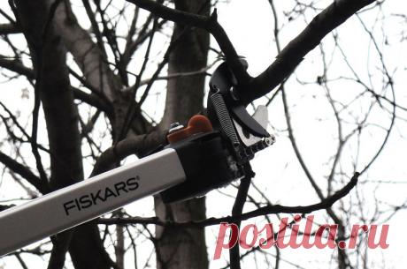 Универсальный сучкорез Fiskars телескопический садовый всего за 6490 руб. | New-Tools.Ru