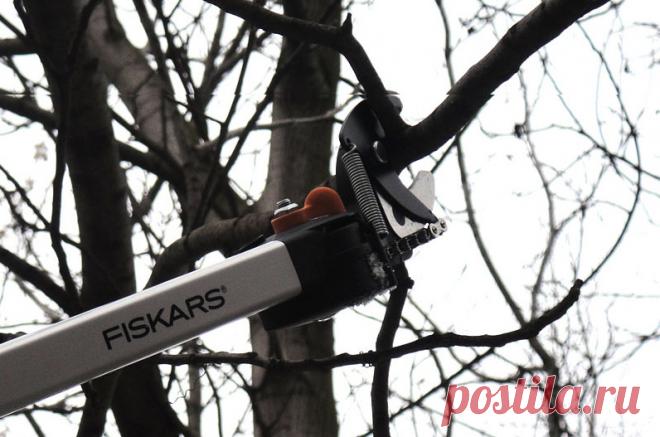 Универсальный сучкорез Fiskars телескопический садовый всего за 6490 руб. | New-Tools.Ru