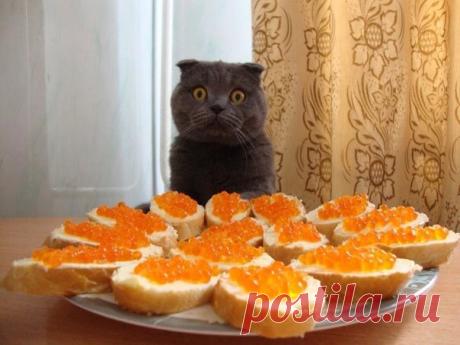 Ущипните меня...