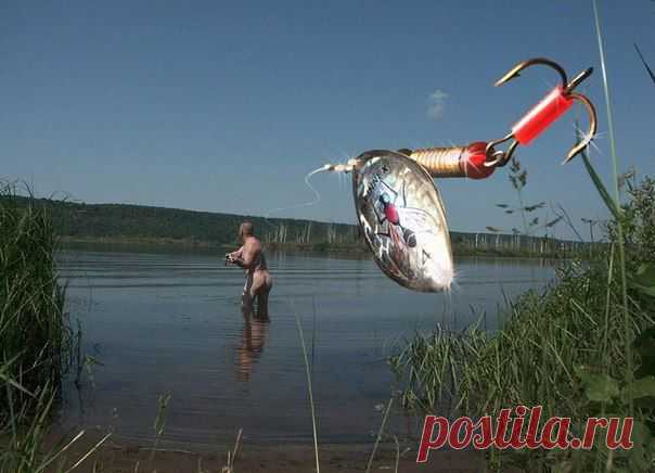 Рыбалка и ветер: общие советы / Богатая добыча