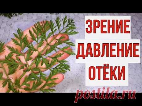 Выпил кружку и забыл о плохом зрении, давлении, отёках и ещё о ста болезнях