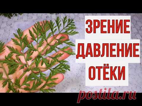 Выпил кружку и забыл о плохом зрении, давлении, отёках и ещё о ста болезнях