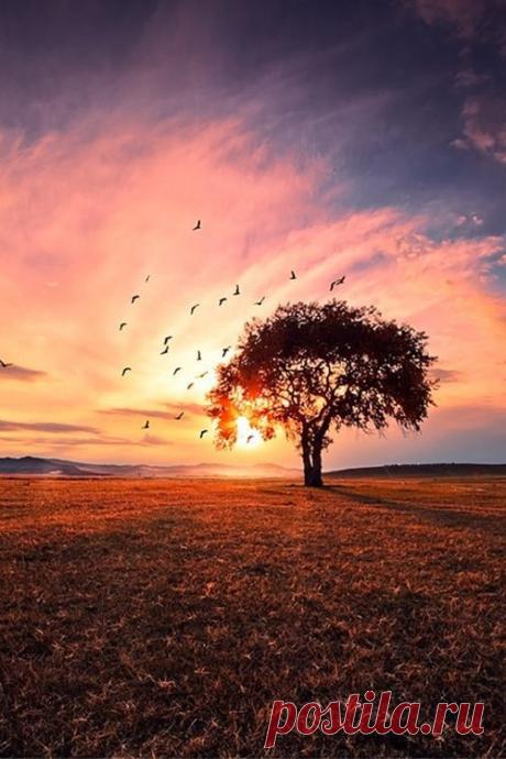 Home by Biyan Jianmo | Tree &amp; Path