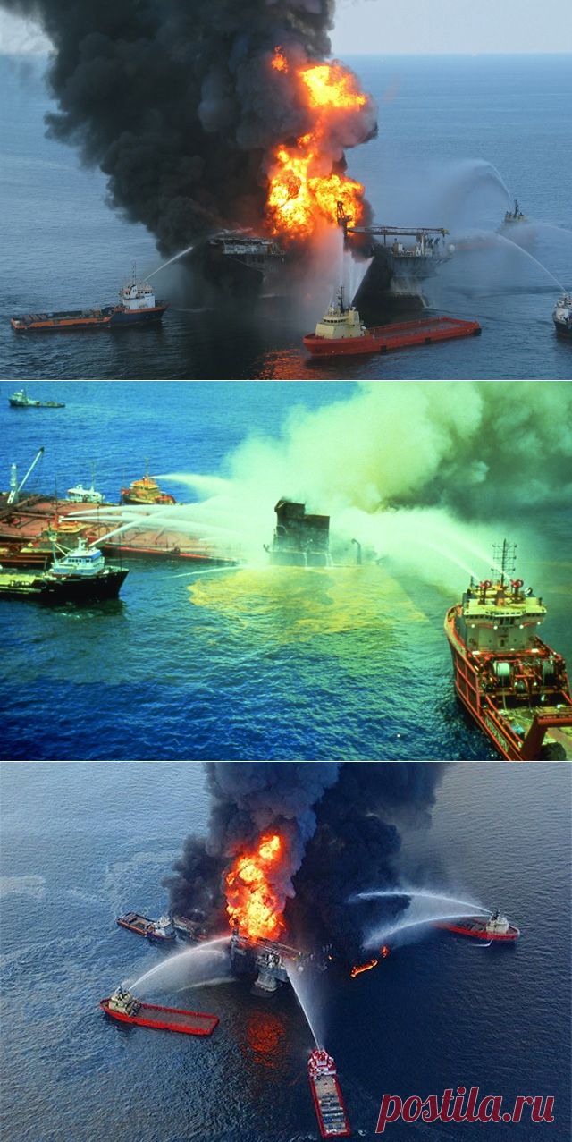 Смертоносная нефть. Самые страшные экологические катастрофы в океане | Экология | Общество | Аргументы и Факты