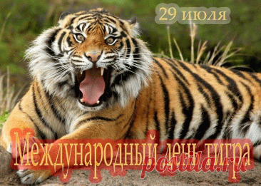 Открытка 29 июля Международный день тигра
