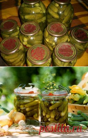 Хрустящие маринованные огурчики: самый простой рецепт