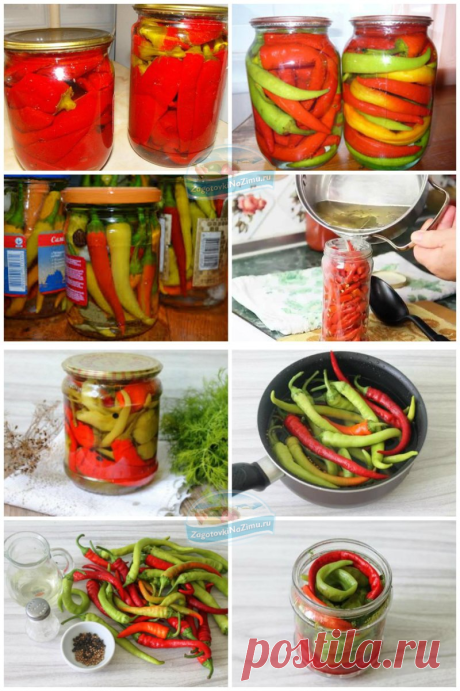 Маринованный перец чили: золотые рецепты с пошаговыми фото