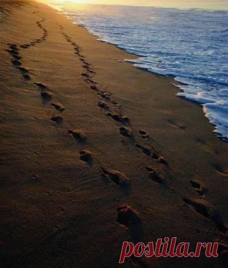 СЛЕДЫ НА ПЕСКЕ (ПРИТЧА)
