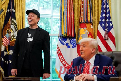 Маск намекнул на педофилию Трампа