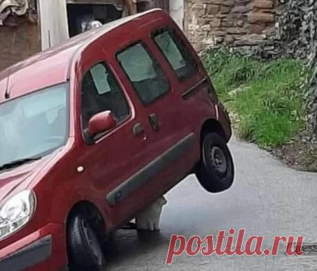 Котэ-домкрат