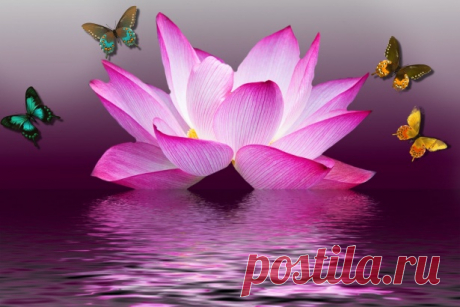 Background Wallpaper Free Stock Photo - Public Domain Pictures