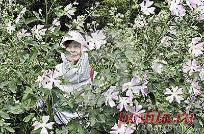 Stock Photos, Royalty-Free Images & Video Footage By Dreamstime Stock Photography