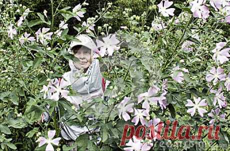 Tourist In The Forest Stock Photo - Image: 93191819