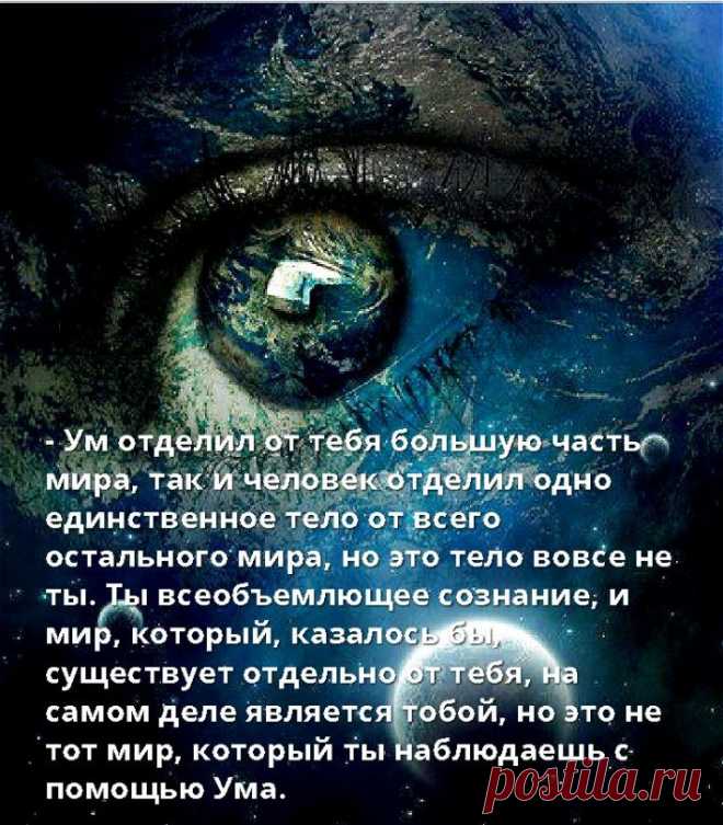 Точка внимания - »