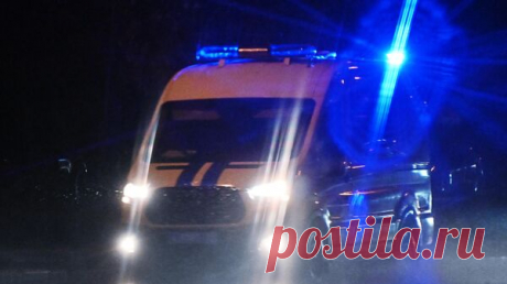Сообщника ликвидированных в Дагестане боевиков арестовали