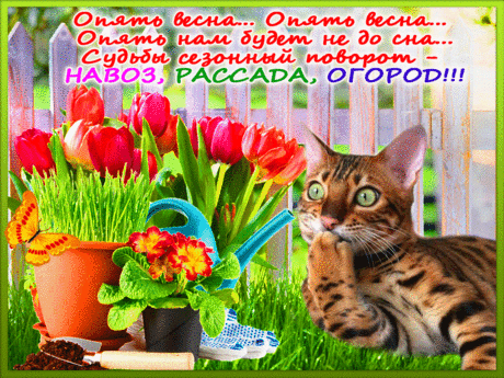 Опять весна... - Весна! - GIF-ки на каждый день - GIF-открытки - ОТКРЫТКИ...
