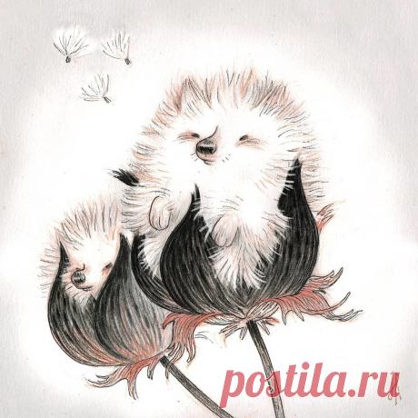 Любимый
