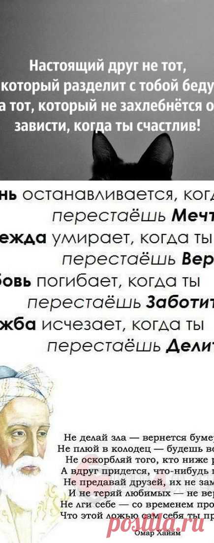 Цитаты.  Этим стоит поделиться! | Top.thePO.ST