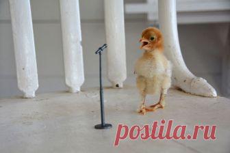 14 лучших работ юных фотографов, которые покорили весь мир