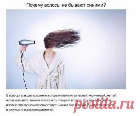 Ответы на детские вопросы, от которых «взрывается» мозг.