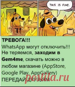 Gem4me — чтобы все были на связи
 Проблемы со связью? Установите мессенджер Gem4me. Без лагов, зависаний, блокировок и других проблем. У нас есть чаты, каналы и новости. https://bit.ly/3stafS3
