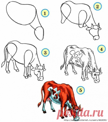 Учимся рисовать животных — Сделай сам, идеи для творчества - DIY Ideas