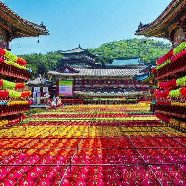 Украшения перед храмом Самгванса #Samgwangsa #삼광사.
Море бумажных фонарей и скульптур по случаю Дня рождения Будды. 
Украшения провисят до 25 мая.

#Пусан #Busan #부산 #Корея #Korea #SouthKorea #한국 #ig_korea #ig_busan #впусане #koreatrip #koreatrip2015 #travelKorea