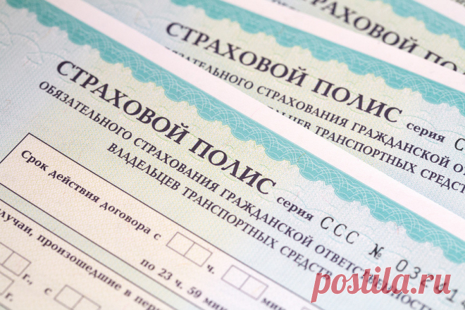 Откуда берутся поддельные полисы ОСАГО?