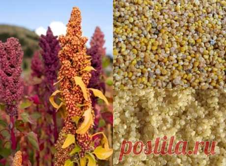 Хотите, чтобы кожа сияла красотой и здоровьем? Эти продукты помогут вам привести в порядок ваш гормональный баланс!