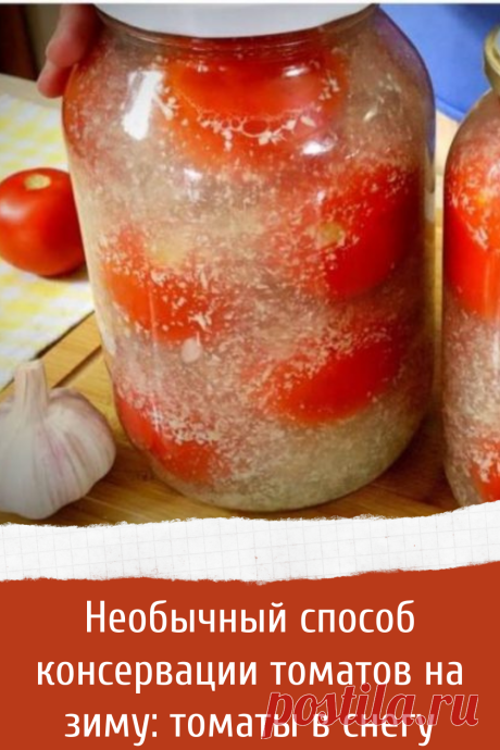 Необычный способ консервации томатов на зиму: томаты в снегу