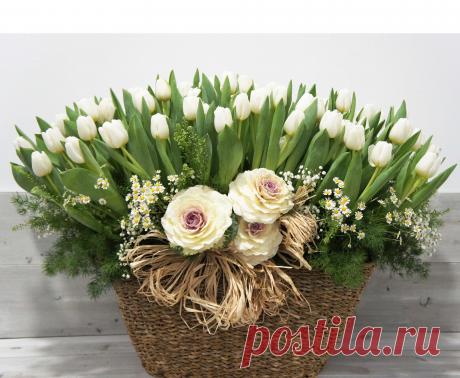 tulipanes de colores - Buscar con Google