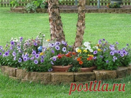 Под деревьями разбили прекрасные цветники