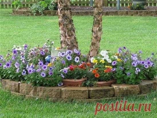 Под деревьями разбили прекрасные цветники