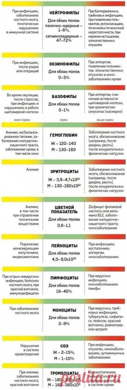 О чем расскажет анализ крови?