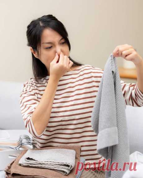 Как убрать из шкафа запах затхлости — Психология