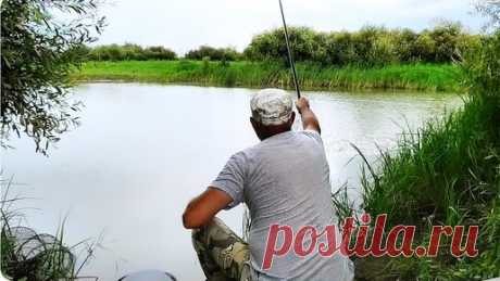 Рыбы тут много, рыбалка на донку | Юг Fishihg | Дзен
