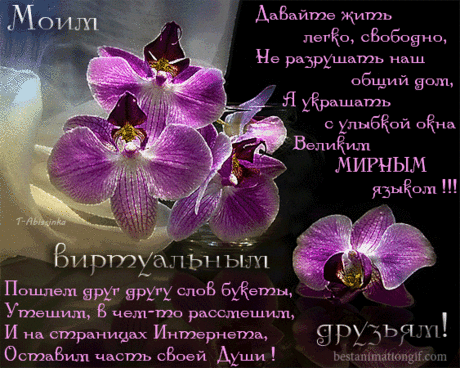 ПОЖЕЛАНИЯ ВИРТУАЛЬНЫМ ДРУЗЬЯМ !