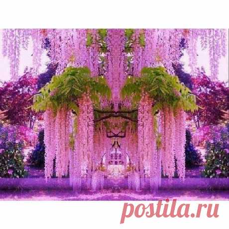 (3) Pulkca приколол(а) это к доске Природа (йога)