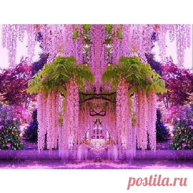 (3) Pulkca приколол(а) это к доске Природа (йога)