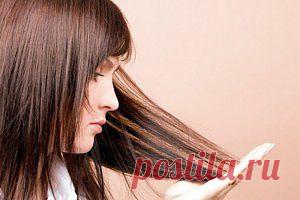 Лечение секущихся волос народными средствами