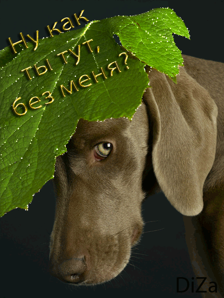 23.gif (450×600)