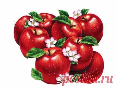 Одноклассники