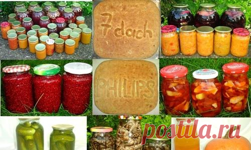 Заготовки на зиму: 15 интересных рецептов. Бонус - рецепт вкусного пирога
