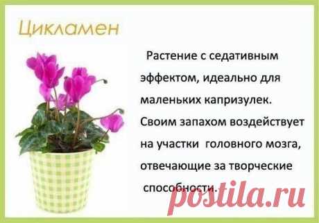 Идеи вашего дома | ВКонтакте