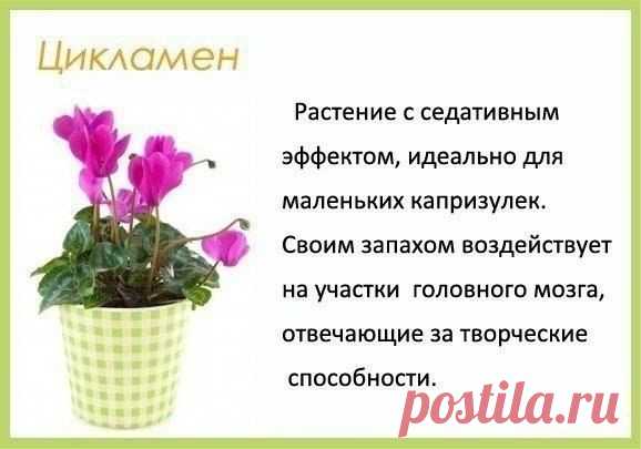 Идеи вашего дома | ВКонтакте