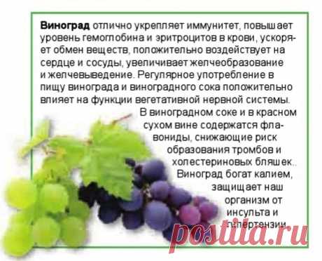 Виноград - лечебные свойства